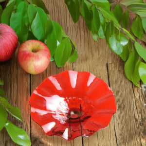 Red Fruit Plate